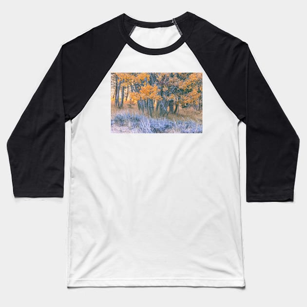 Autumn Aspens Baseball T-Shirt by jvnimages